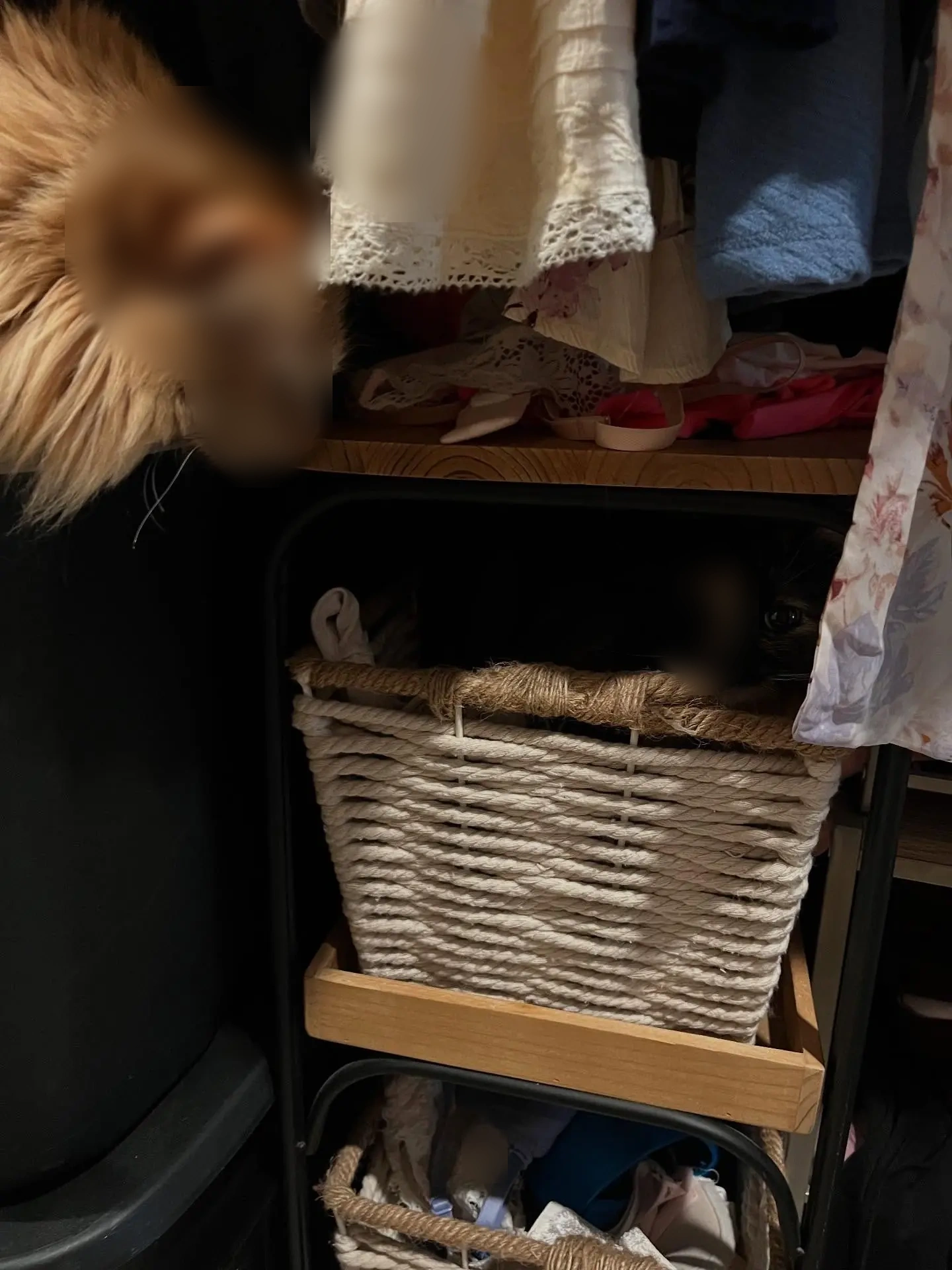 Charlotte-Jeu