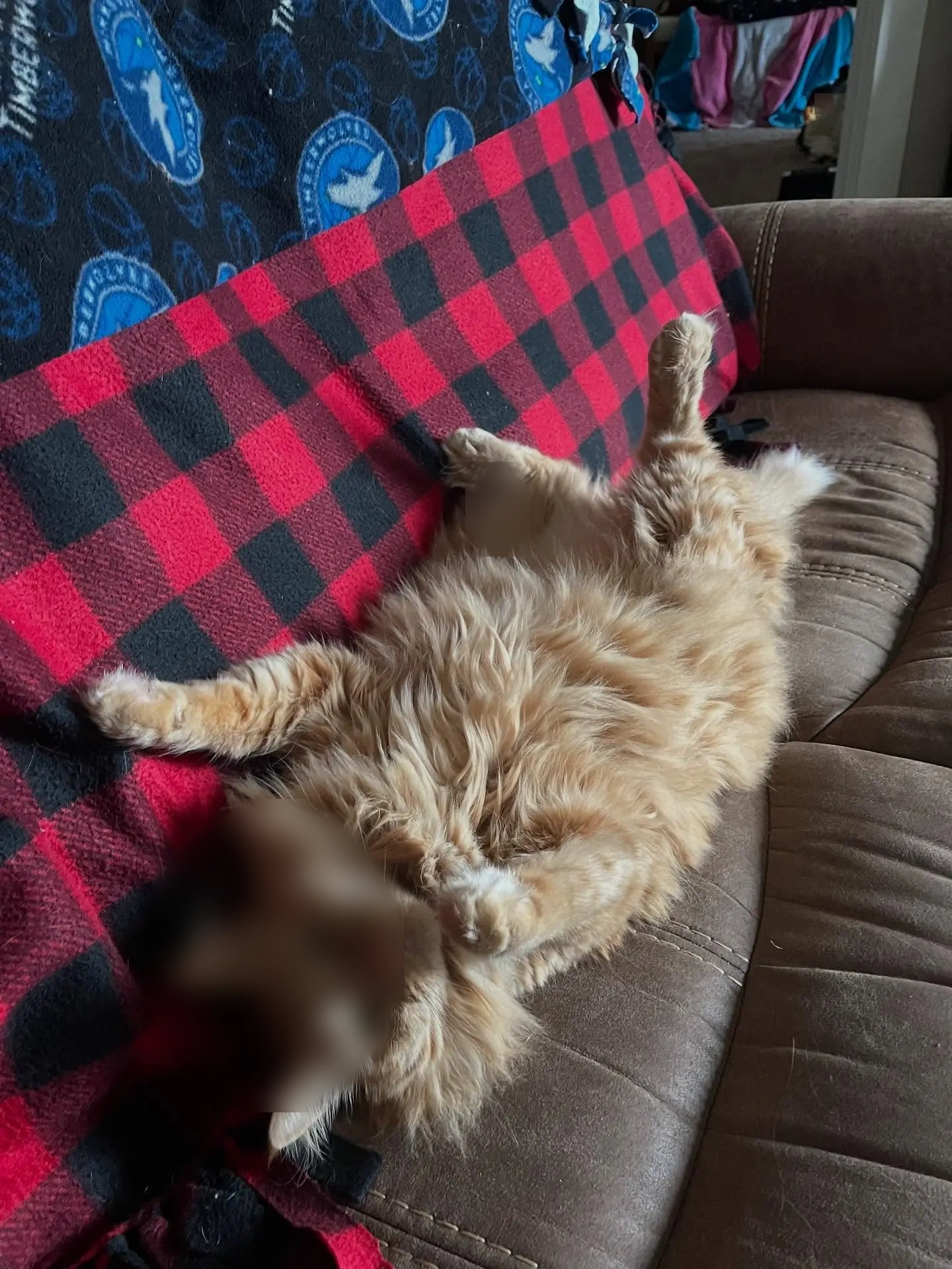 BlandineKitten